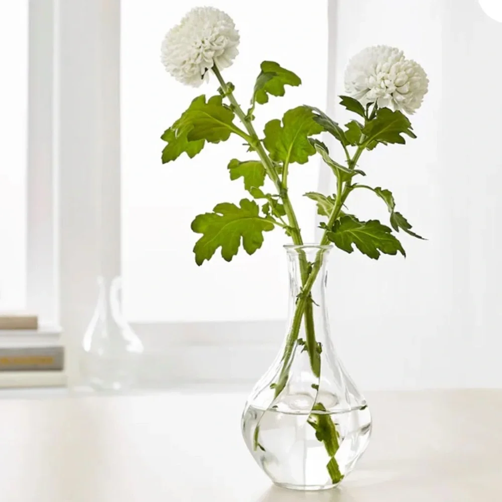 IKEA Viljestark Glass Vases